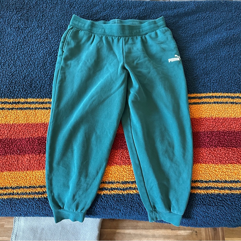 Puma fleece joggers — teal